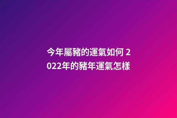 今年屬豬的運氣如何 2022年的豬年運氣怎樣-第1張-觀點-玄機派
